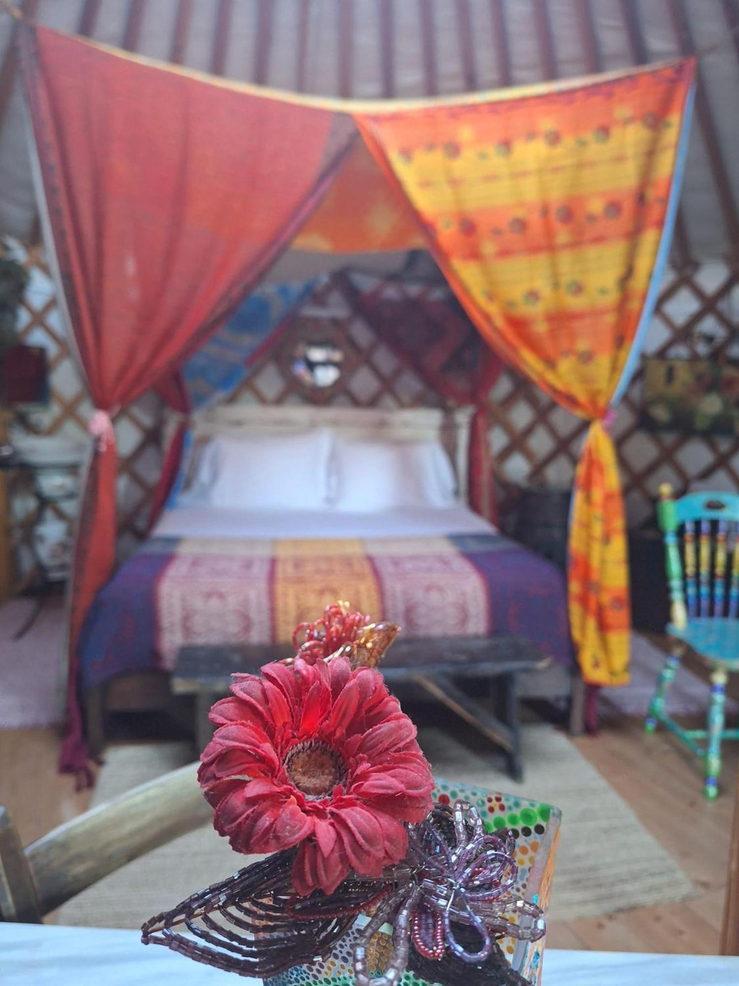 2 Cuori E 1 Yurta Glamping In Tuscany - Adults Only